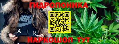 круглые Тулун