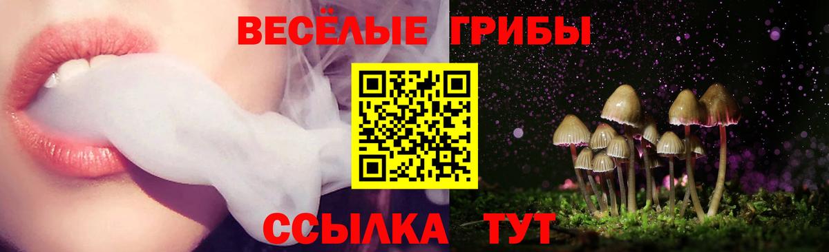 Псилоцибиновые грибы мухоморы  наркошоп  Галлюциногенные грибы Psilocybine cubensis  Артём  Вход с VPN 